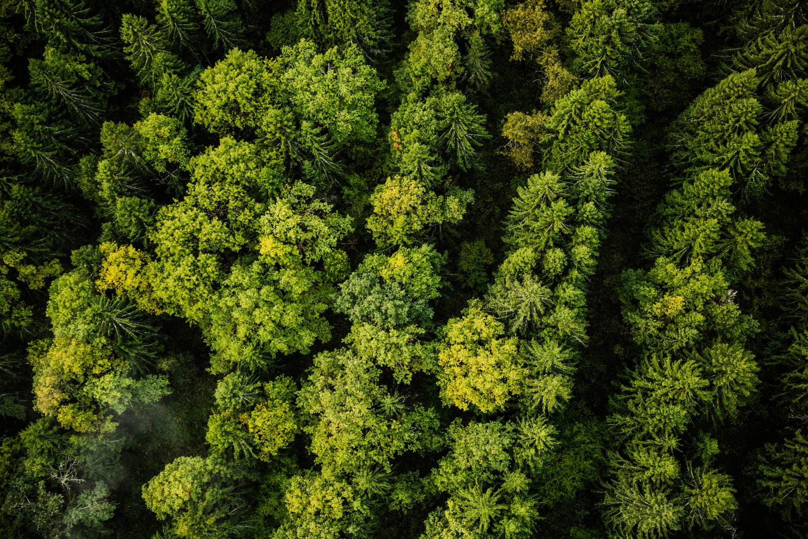 A better future starts at home.